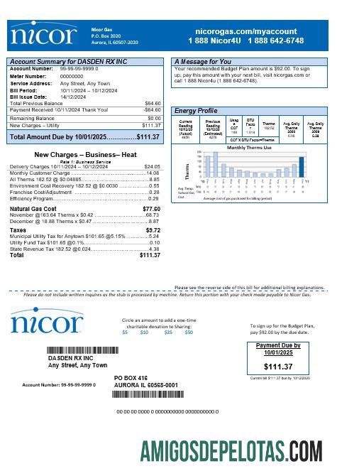 realista Modelo de conta de serviços públicos de negócios EUA Illinois Nicor ​​Gas em formatos Word e PDF